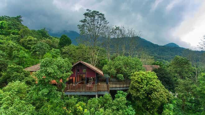 Top 10 Treehouse Resorts in India