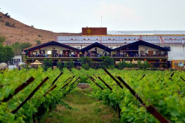 Top 10 Vineyard Tours in India