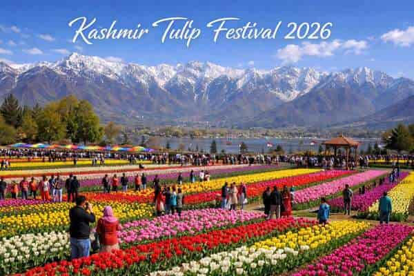 Top 10 Places to Visit During the Tulip Bloom in India