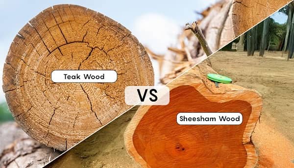Sheesham Wood vs Teak Wood: Which is Better for Home?