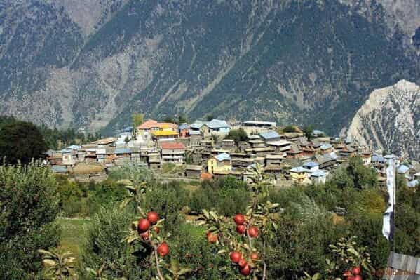 Top 10 Apple Orchard Destinations in India
