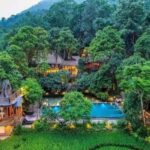 Top 10 Jungle Resorts in India