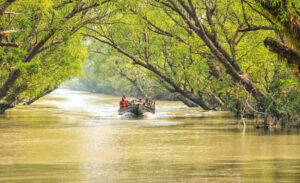 Top 10 Mangrove Forests to Visit in India