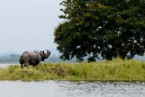 Top 10 Eco-Tourism Destinations in India