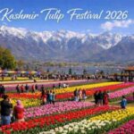 Top 10 Places to Visit During the Tulip Bloom in India