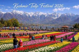 Top 10 Places to Visit During the Tulip Bloom in India